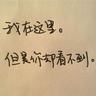 独立游戏《猫头鹰男孩》增加中文 史低促销只要46元